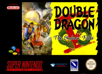 Double Dragon V - The Shadow Falls (Europe) box cover front